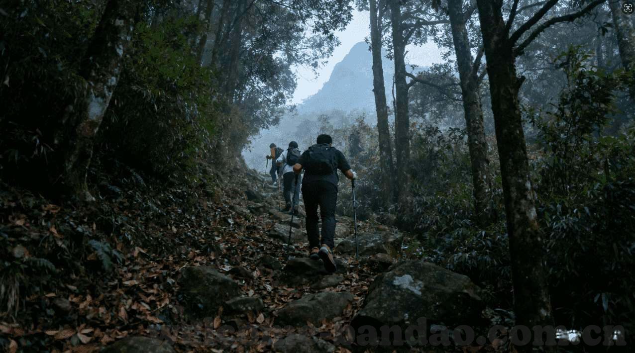 永利属于哪个集团公司-永利于澳门之辉煌与归属探析